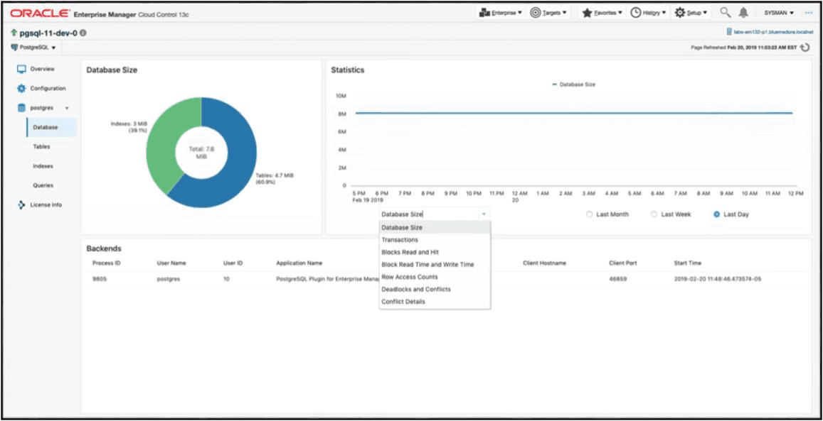 Integration Plumbers PostgreSQL Plugin for Oracle Enterprise Manager — database monitoring dashboard